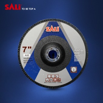 Disc lamelar 180